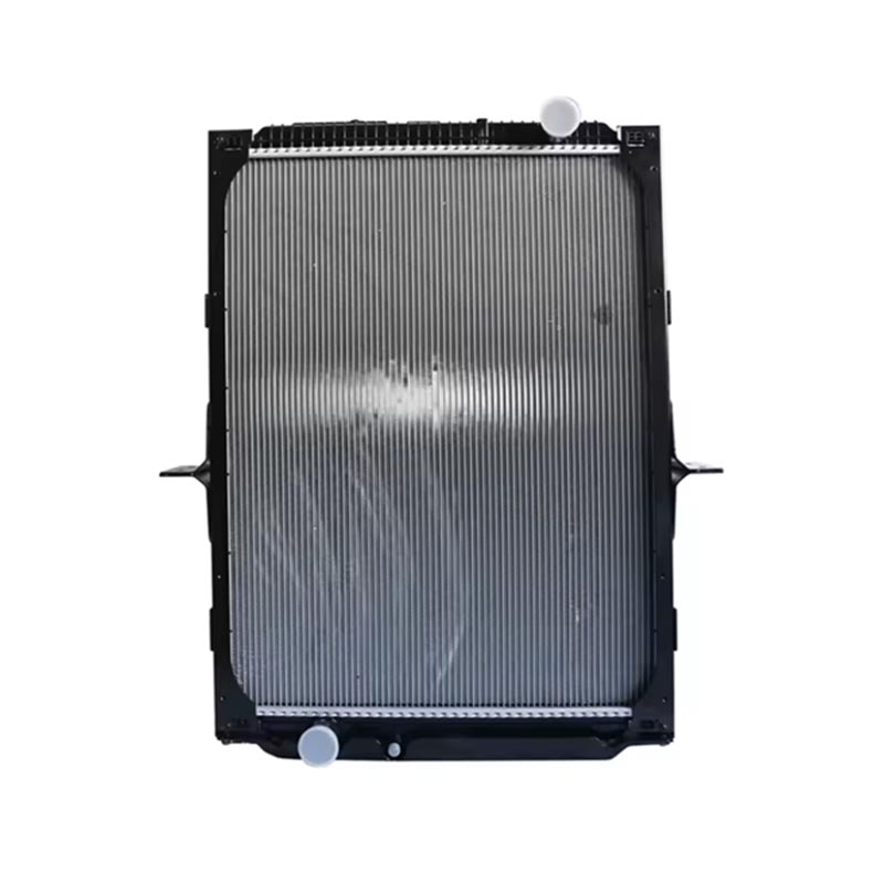 Ẹya ẹrọ Radiator DZ91125328