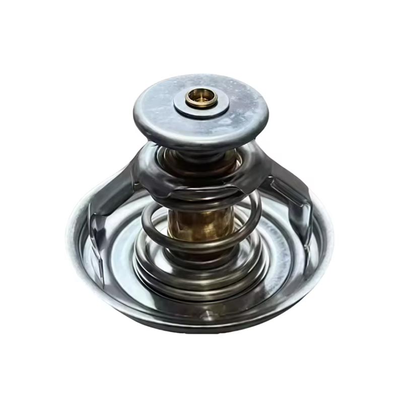 Ikoledanu Engine Thermostat 1000837830